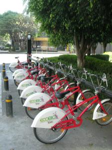 bicycles to rent 