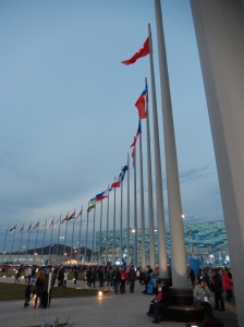 flags around the flame