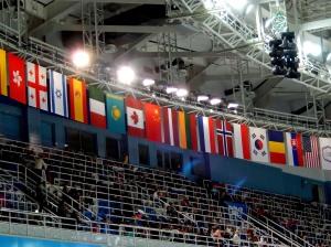 flags of the arena